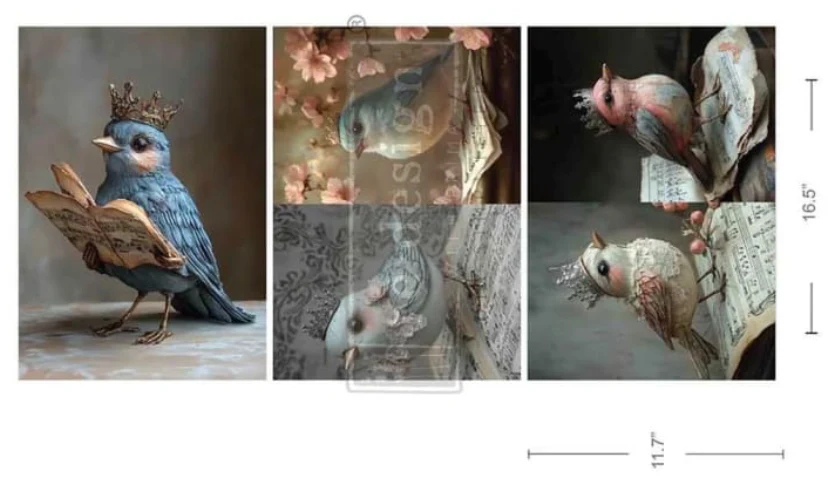 ReDesign NEW January 2026